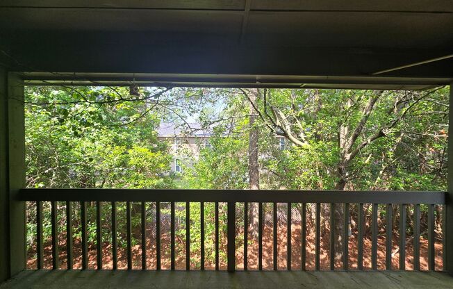 1895-6 Tryon ~ Briarcliff