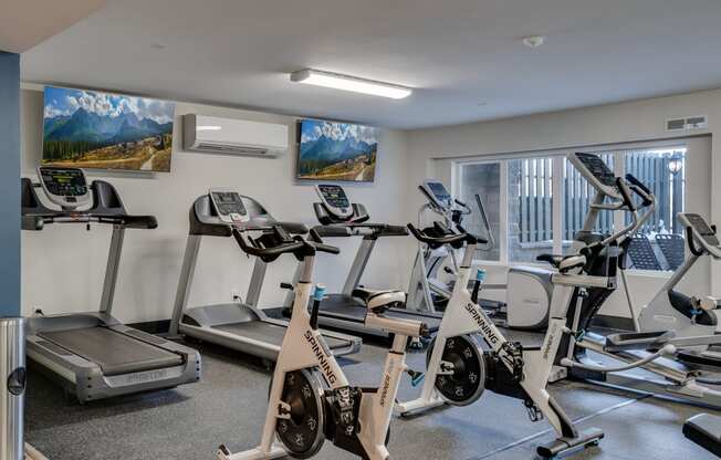 Cardio Equipment with Mounted Flat Screens