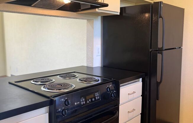 1 bed, 1 bath, 700 sqft, $1,445, Unit 0207