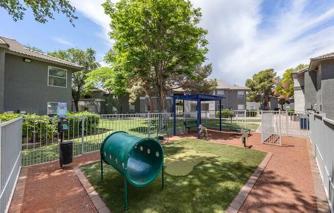 dog park with playground and tree at Paisley and Pointe Apartments, Nevada