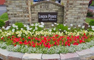Linden Pointe Residences