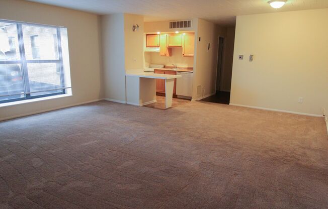 Studio, 1 bath, 520 sqft, $850, Unit 107