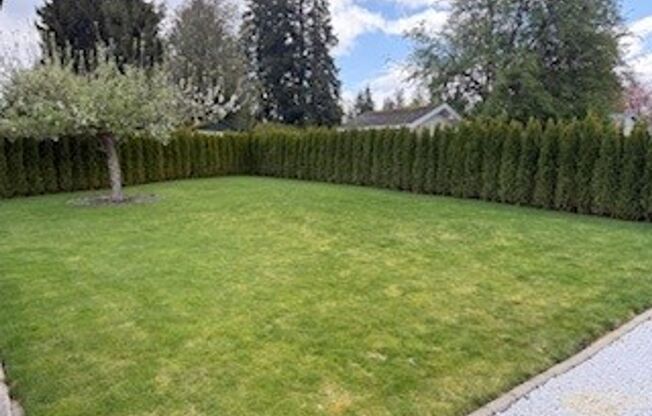 3 Bedroom 1 Bath Updated Home with Large Park Like Fenced Yard! $2900 a Month.