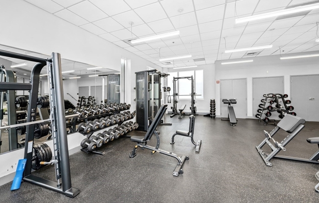 1 bed, 1 bath, 655 sqft, $3,200, Unit 215