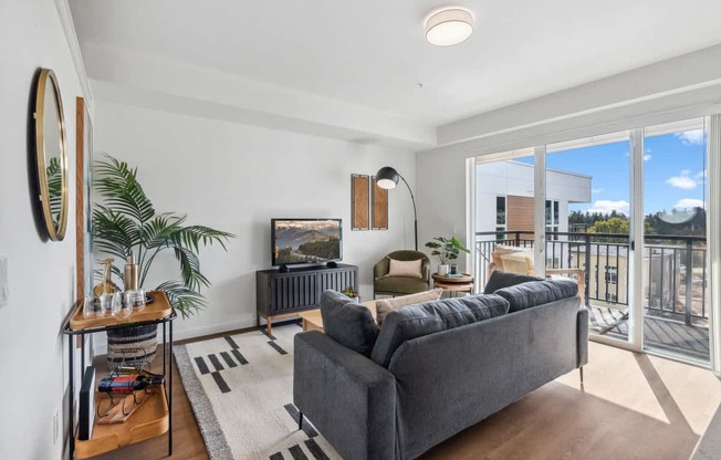 A living room with a grey couch and a flat screen TV.