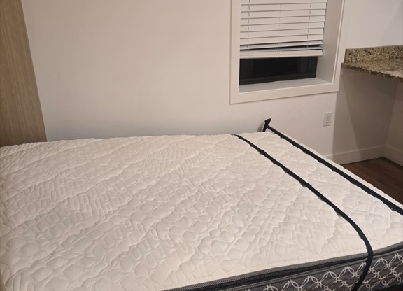 Studio, 1 bath, 600 sqft, $1,550, Unit 3