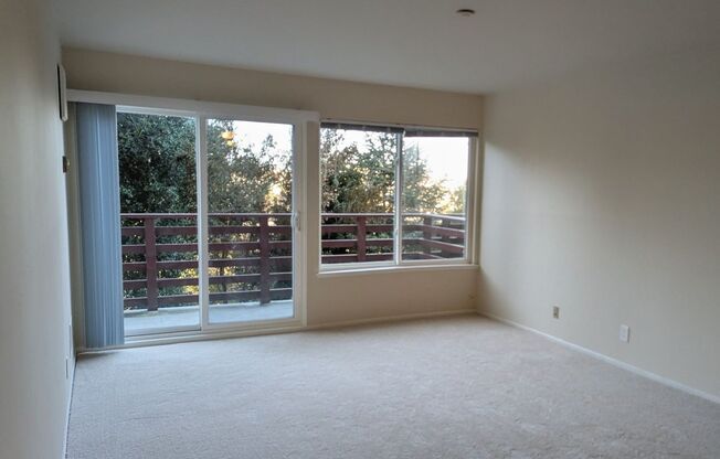 4220 Cesar Chavez Street (307r)