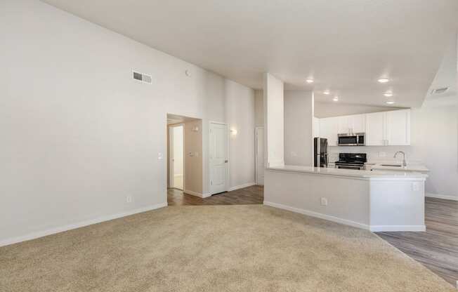 Living Room with View of Kitchen, Carpet, White Counter and Hardwood Inspired Floor by Door