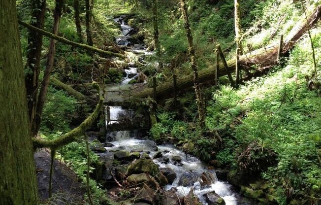 Studio, 1 bath, 380 sqft, $995, Unit 107