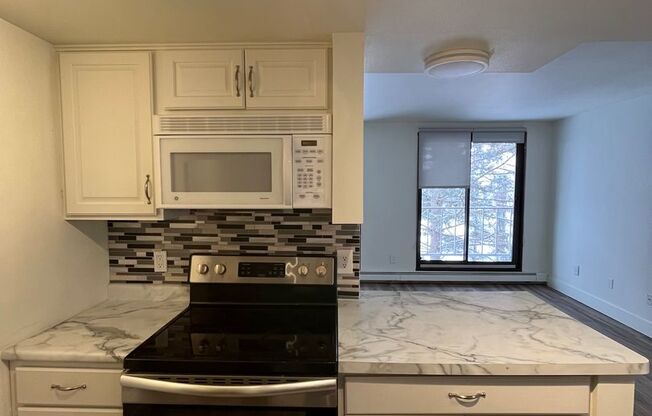 1 bed, 1 bath, 750 sqft, $1,195, Unit 317E