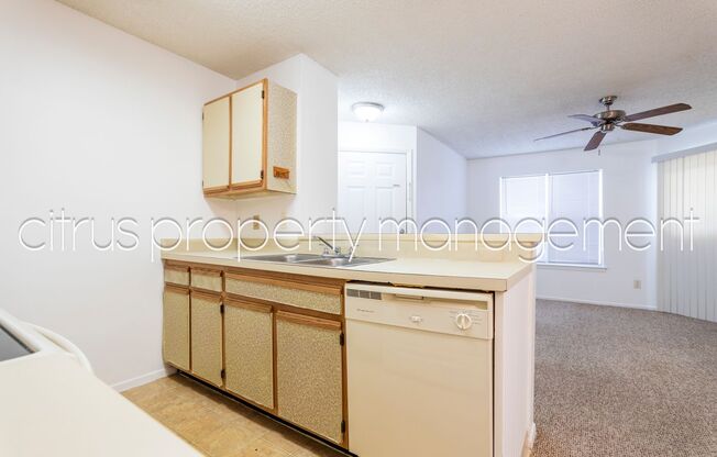 1 bed, 1 bath, $1,300, Unit Unit 213