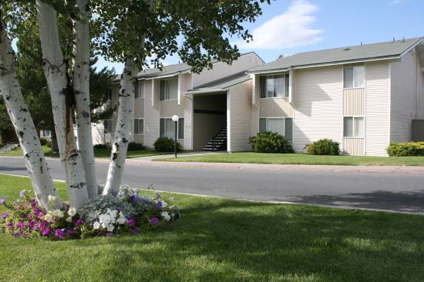 Kirkwood Meadows Apartments exterior, paved path, manicured lawn, Himalayan birch tree surrounded by flowers.at Kirkwood Meadows, Pocatello, ID