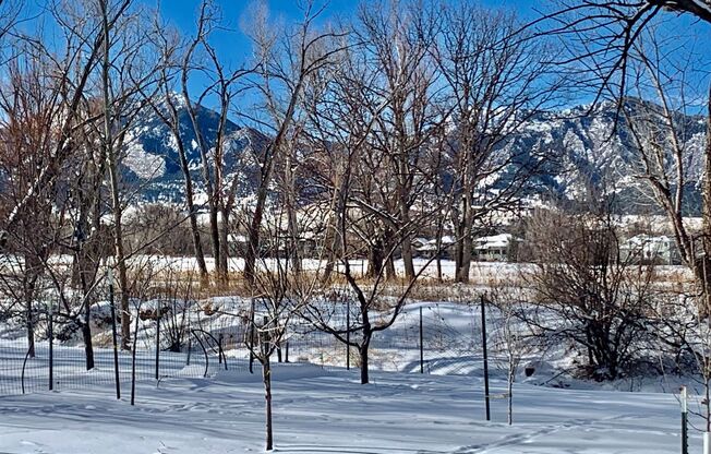 Spacious Gapter Home with Flatiron Views and 3/4 Acre on the South Boulder Creek!