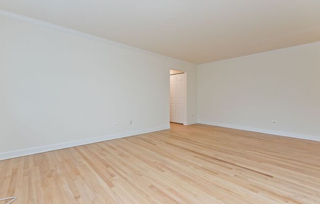1 bed, 1 bath, $1,650, Unit 312