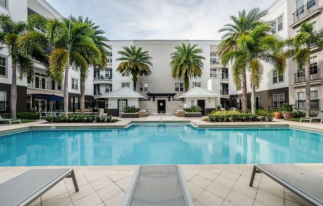 A large swimming pool surrounded by palm trees and lounge chairs.