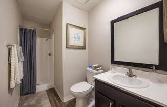 Bathroom with a toilet sink and mirror and a shower at 2900 Lux Apartment Homes, Nevada