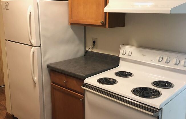 1 bed, 1 bath, 600 sqft, $1,095, Unit 3933104