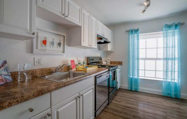 Belara Lakes Apartments in Tampa Florida photo of kitchen