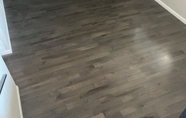 Beautifully Renovated 4bd 3bth Home Move In Ready!