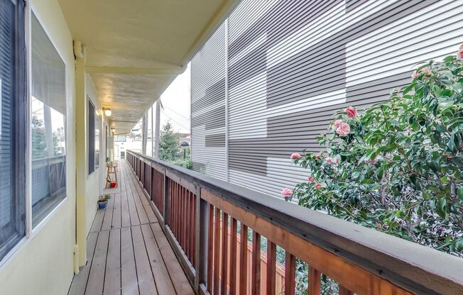 Studio, 1 bath, 300 sqft, $1,300, Unit 3