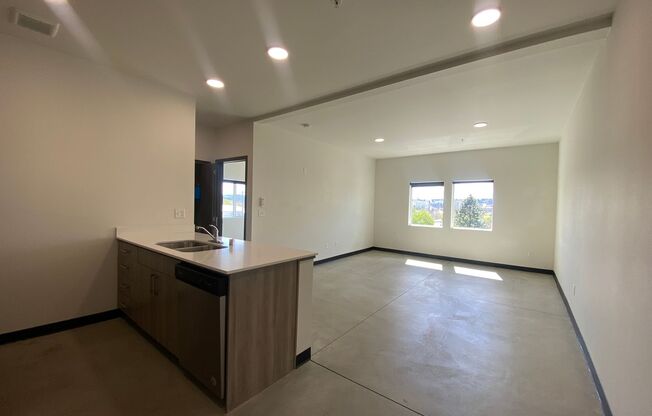 1 bed, 1 bath, 700 sqft, $1,295, Unit Unit 303