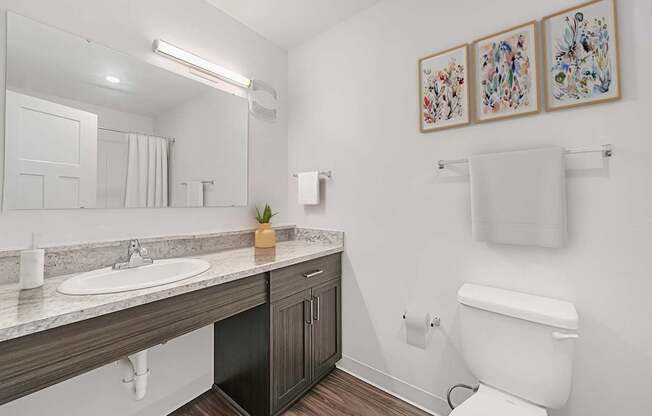 A bathroom with a toilet, a sink, and a mirror at Dodson Pointe Apartment Homes, Rogers