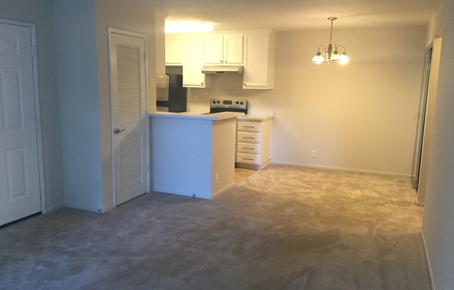 Remodeled 1 Bed 1 Bath Condo. Stainless Steel Appliances. Pool and Hot Tub