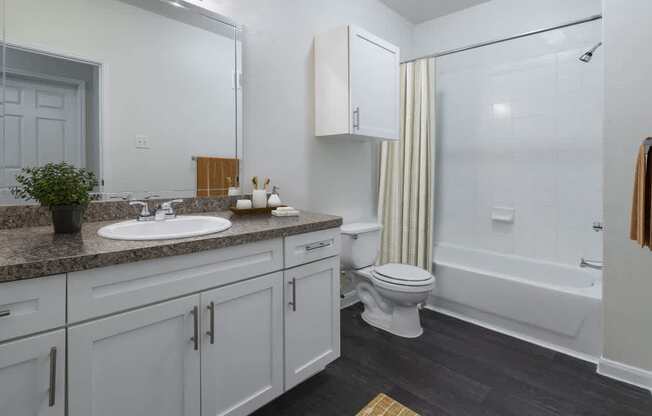 a bathroom with a sink toilet and a shower