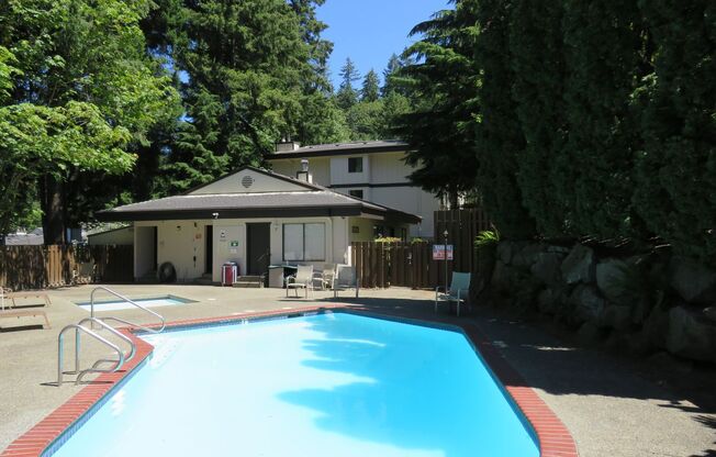 Totem Lake Cute 1bed/1bath ground floor Condo! $1695.00