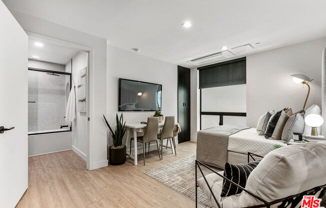 Studio, 1 bath, 350 sqft, $2,450, Unit 236
