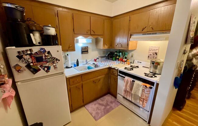 Studio, 1 bath, $895, Unit 202