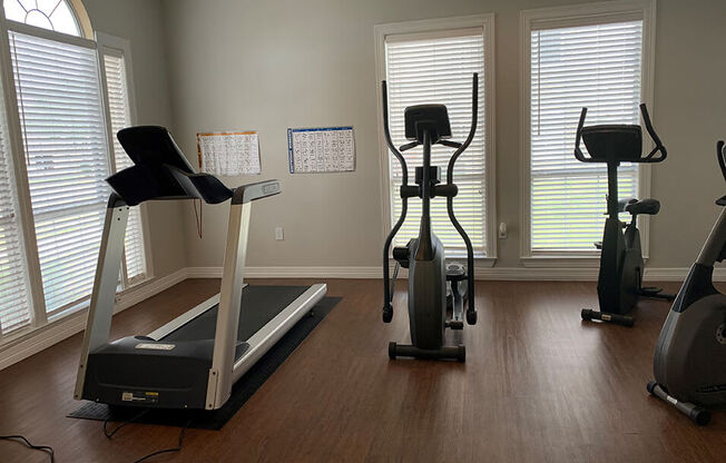 a home gym with a treadmill and exercise balls