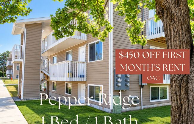 1 bed, 1 bath, 480 sqft, $899, Unit 203