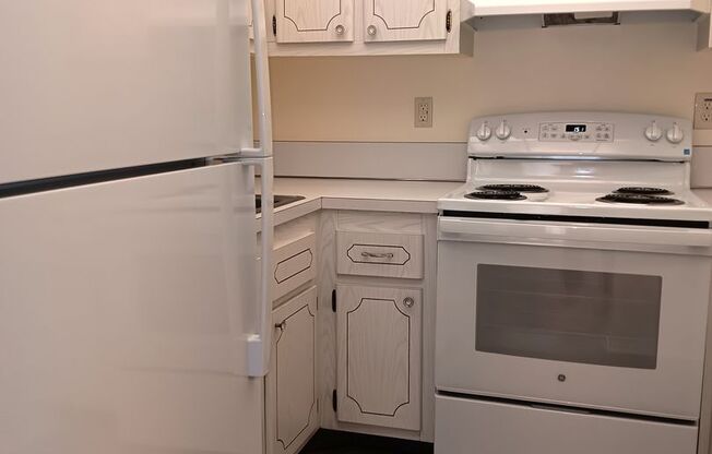 Sunny spot in St Pete, close to downtown & all kinds of shopping, dining