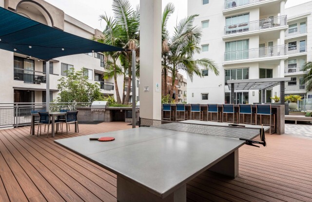 Ping Pong Outdoor Deck