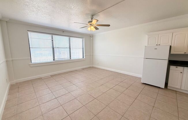 Discover urban living at its finest with this spacious studio apartment in the heart of downtown Jacksonville!