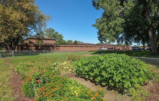 Community garden in Uppertown apartments