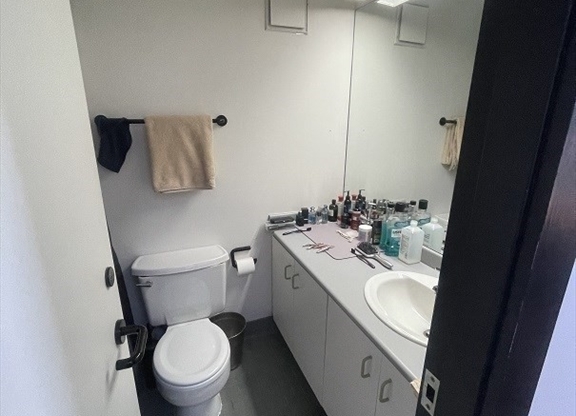 Studio, 1 bath, 320 sqft, $2,200, Unit 301
