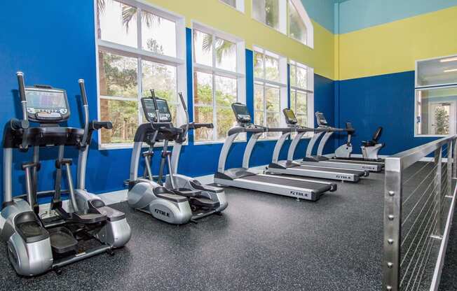Fitness Center at The Preserve at Tampa Palms Apartments in Tampa, FL