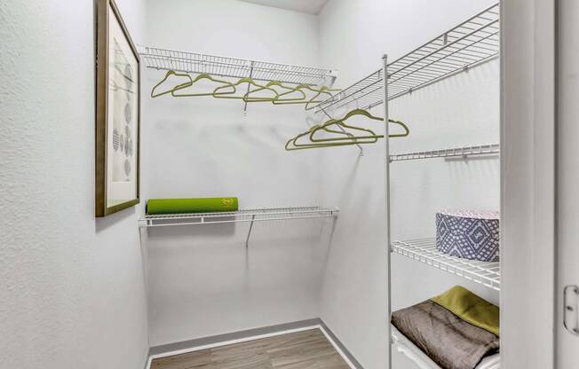 spacious closet with white walls and shelves and a glass door at Pearce at Pavilion Luxury Apartments, Florida