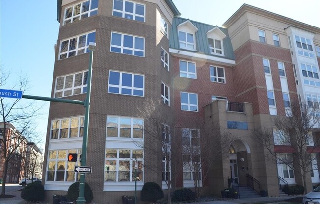 388 Boush Street Unit #410