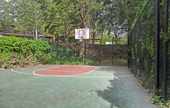 Taluswood Apartments Ourdoor Basketball Courts | Apartments In Mountlake Terrace, WA | Taluswood Apartments