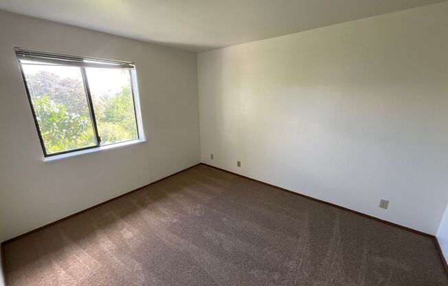 1 bed, 1 bath, 550 sqft, $1,650, Unit 401