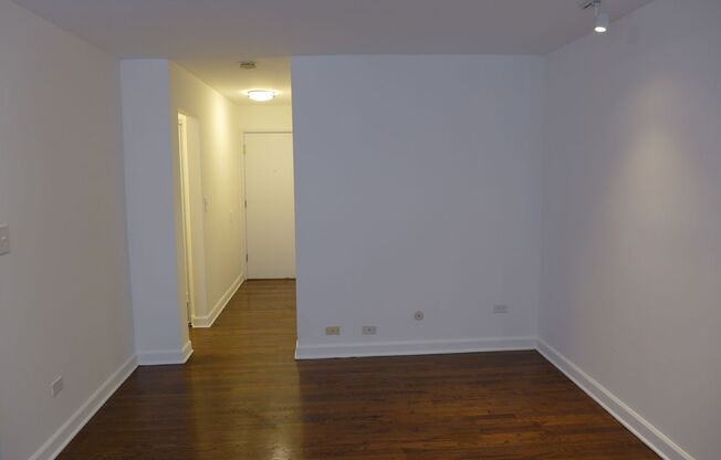 Studio, 1 bath, 305 sqft, $1,250, Unit 409