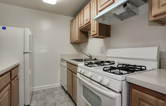 Modern Kitchens with Clean Steel Appliances at The Fields of Arlington, Arlington, Virginia