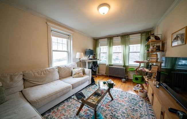 58 SELKIRK RD