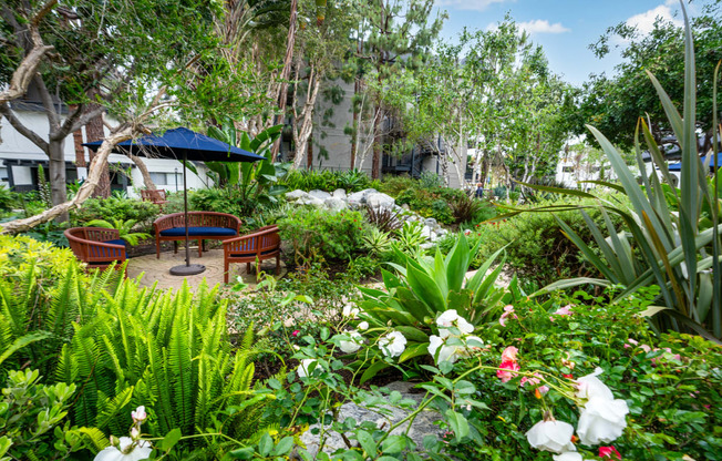 a garden with benches and plants and trees