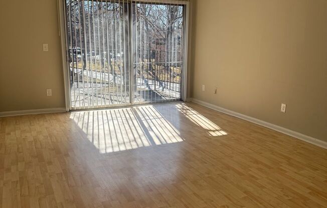 1 bed, 1 bath, $1,050