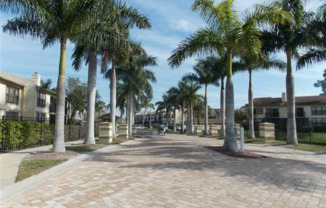 1952 LAUGHING GULL LN