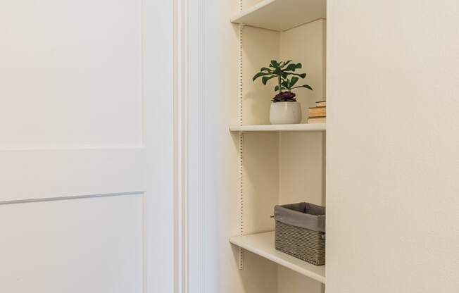 Built-in shelving for all your storage needs